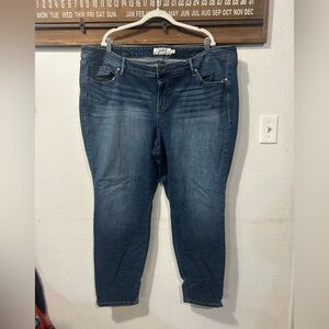 Torrid Jeans Women's Size 26R Blue High-Rise Jegging Denim Pants Inseam (1485)